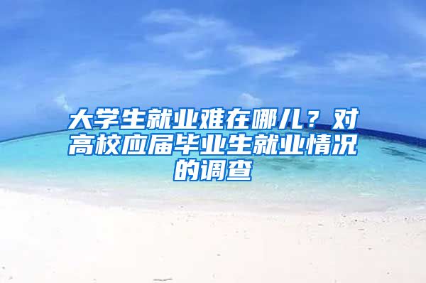 大學(xué)生就業(yè)難在哪兒？對(duì)高校應(yīng)屆畢業(yè)生就業(yè)情況的調(diào)查