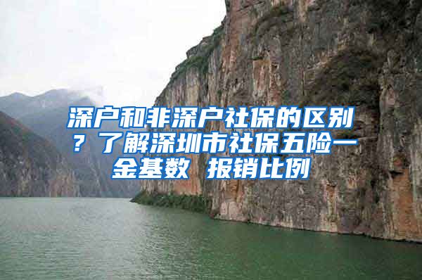 深戶和非深戶社保的區(qū)別？了解深圳市社保五險一金基數(shù) 報銷比例