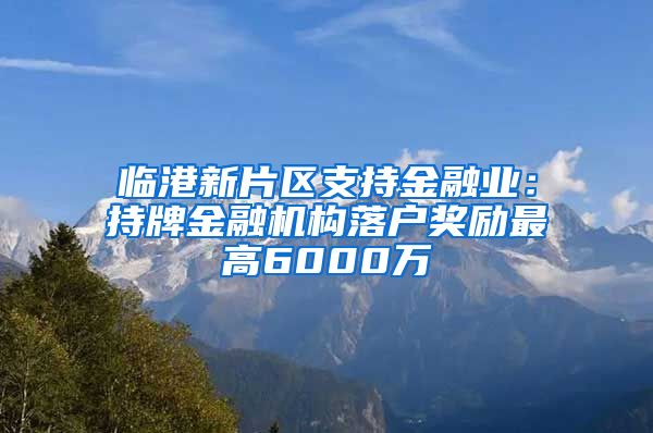 臨港新片區(qū)支持金融業(yè)：持牌金融機構(gòu)落戶獎勵最高6000萬