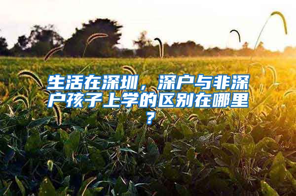 生活在深圳，深戶與非深戶孩子上學(xué)的區(qū)別在哪里？