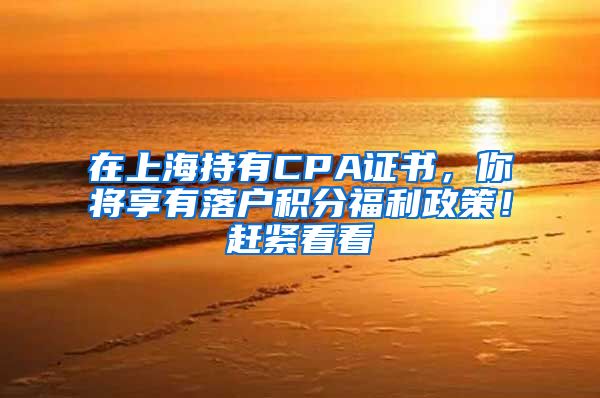 在上海持有CPA證書，你將享有落戶積分福利政策！趕緊看看