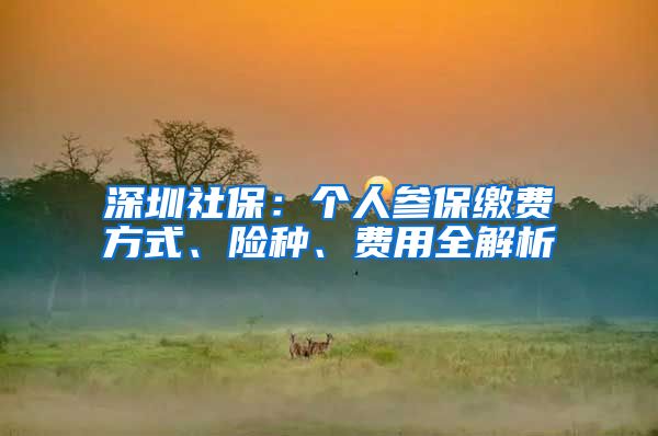 深圳社保：個(gè)人參保繳費(fèi)方式、險(xiǎn)種、費(fèi)用全解析