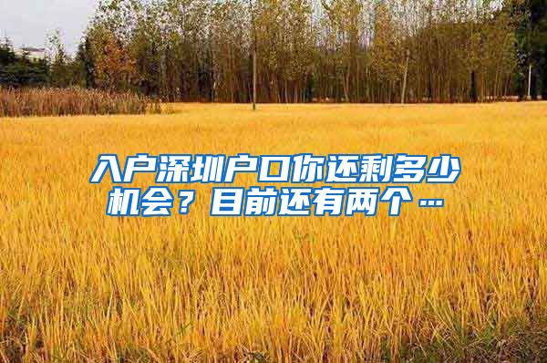 入戶深圳戶口你還剩多少機(jī)會？目前還有兩個…