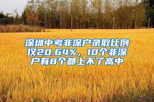 深圳中考非深戶錄取比例僅20.64%，10個非深戶有8個都上不了高中