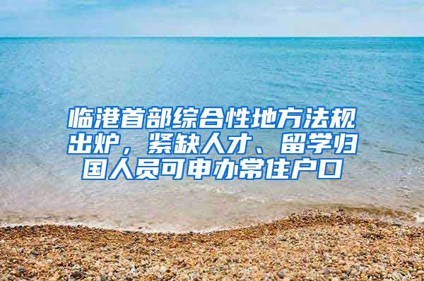 臨港首部綜合性地方法規(guī)出爐，緊缺人才、留學(xué)歸國人員可申辦常住戶口