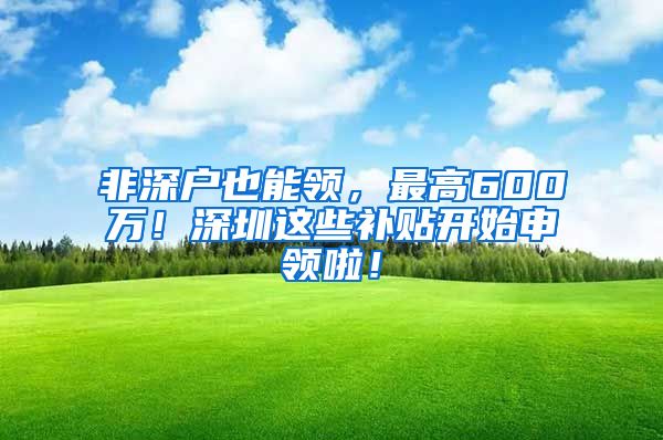 非深戶也能領(lǐng)，最高600萬！深圳這些補貼開始申領(lǐng)啦！