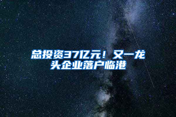 總投資37億元！又一龍頭企業(yè)落戶臨港