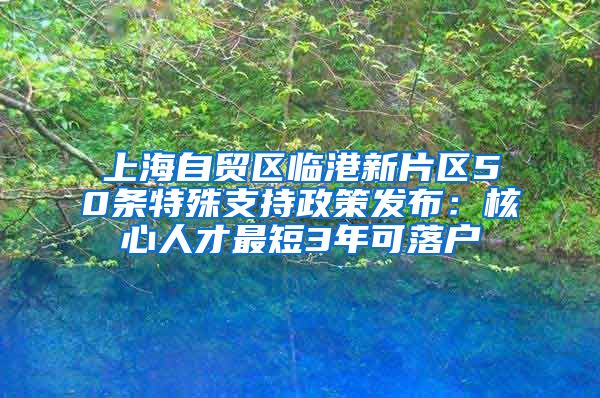 上海自貿(mào)區(qū)臨港新片區(qū)50條特殊支持政策發(fā)布：核心人才最短3年可落戶