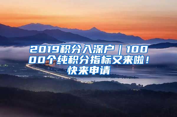 2019積分入深戶｜10000個純積分指標又來啦！快來申請