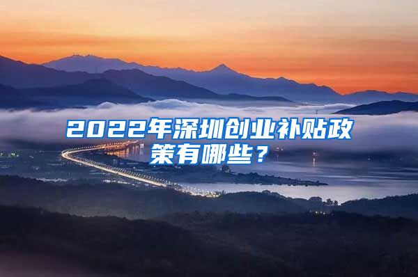 2022年深圳創(chuàng)業(yè)補貼政策有哪些？