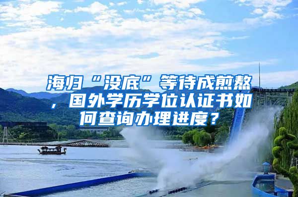 海歸“沒底”等待成煎熬，國外學歷學位認證書如何查詢辦理進度？