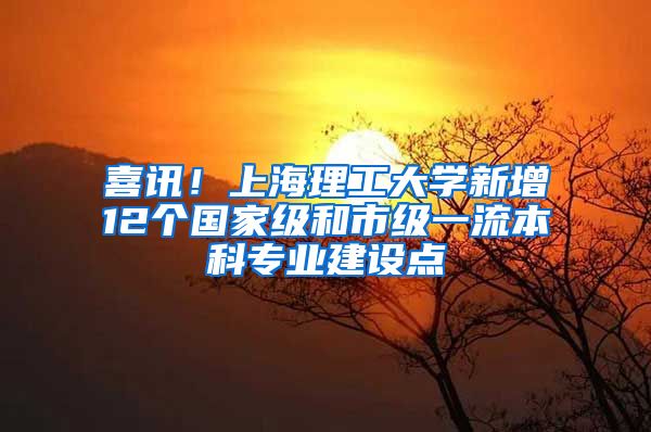 喜訊！上海理工大學新增12個國家級和市級一流本科專業(yè)建設點