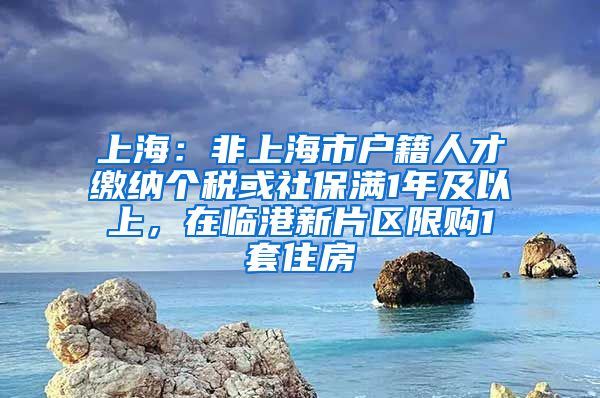 上海：非上海市戶籍人才繳納個稅或社保滿1年及以上，在臨港新片區(qū)限購1套住房