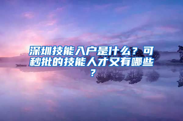 深圳技能入戶是什么？可秒批的技能人才又有哪些？