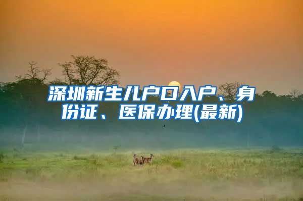 深圳新生兒戶口入戶、身份證、醫(yī)保辦理(最新)