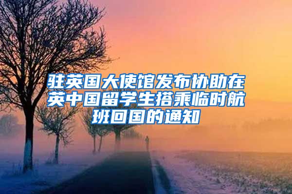 駐英國大使館發(fā)布協(xié)助在英中國留學(xué)生搭乘臨時(shí)航班回國的通知