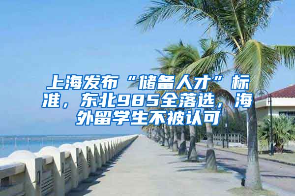 上海發(fā)布“儲(chǔ)備人才”標(biāo)準(zhǔn)，東北985全落選，海外留學(xué)生不被認(rèn)可