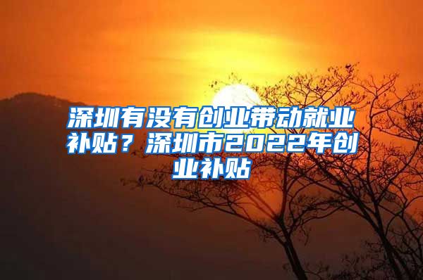 深圳有沒有創(chuàng)業(yè)帶動就業(yè)補(bǔ)貼？深圳市2022年創(chuàng)業(yè)補(bǔ)貼