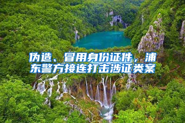 偽造、冒用身份證件，浦東警方接連打擊涉證類案