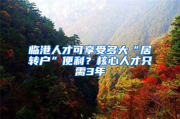 臨港人才可享受多大“居轉戶”便利？核心人才只需3年