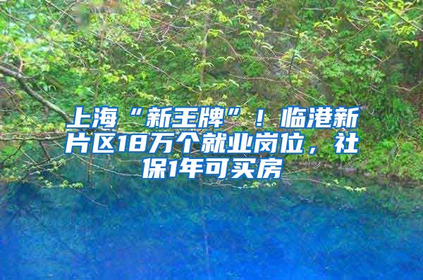 上?！靶峦跖啤?！臨港新片區(qū)18萬個就業(yè)崗位，社保1年可買房