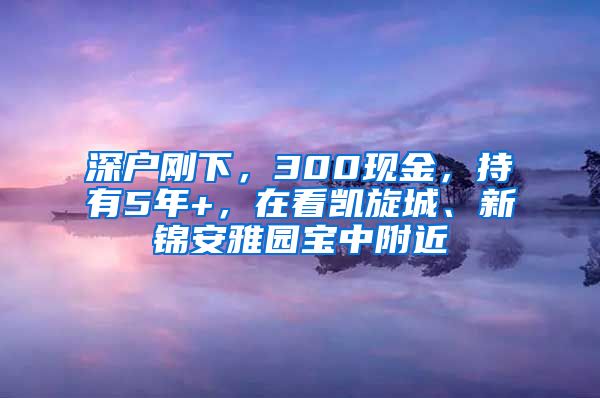 深戶(hù)剛下，300現(xiàn)金，持有5年+，在看凱旋城、新錦安雅園寶中附近