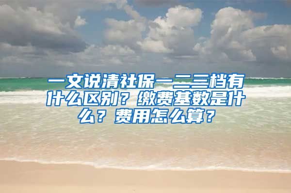 一文說清社保一二三檔有什么區(qū)別？繳費基數(shù)是什么？費用怎么算？