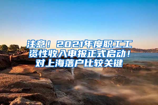 注意！2021年度職工工資性收入申報(bào)正式啟動(dòng)！對(duì)上海落戶比較關(guān)鍵