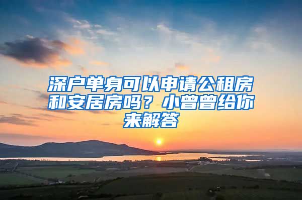 深戶單身可以申請(qǐng)公租房和安居房嗎？小曾曾給你來解答