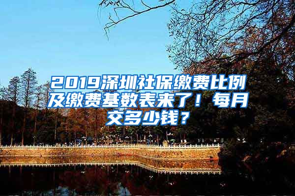 2019深圳社保繳費比例及繳費基數(shù)表來了！每月交多少錢？