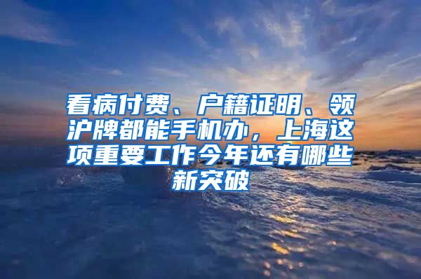 看病付費(fèi)、戶籍證明、領(lǐng)滬牌都能手機(jī)辦，上海這項(xiàng)重要工作今年還有哪些新突破