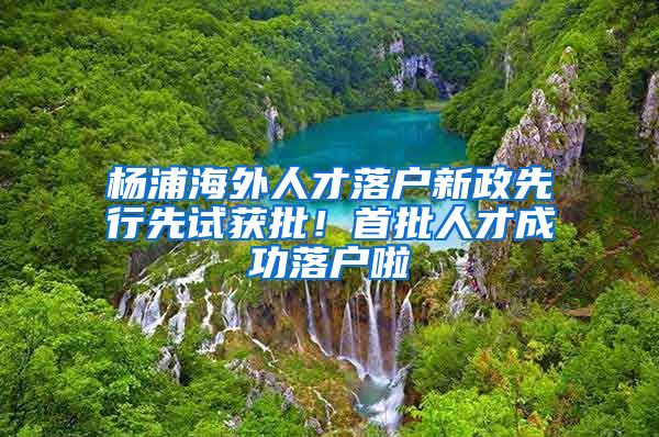 楊浦海外人才落戶新政先行先試獲批！首批人才成功落戶啦