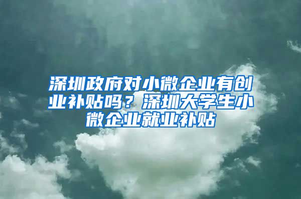 深圳政府對小微企業(yè)有創(chuàng)業(yè)補貼嗎？深圳大學(xué)生小微企業(yè)就業(yè)補貼