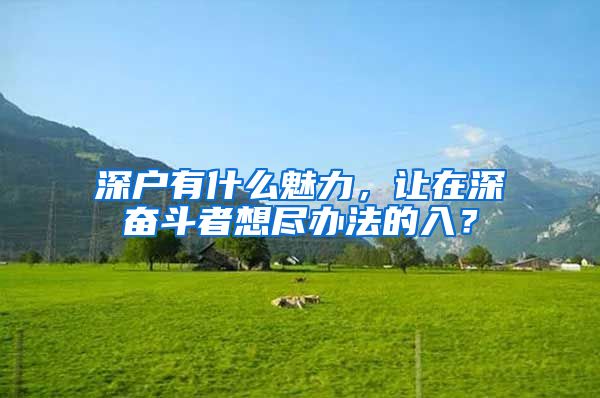 深戶有什么魅力，讓在深?yuàn)^斗者想盡辦法的入？