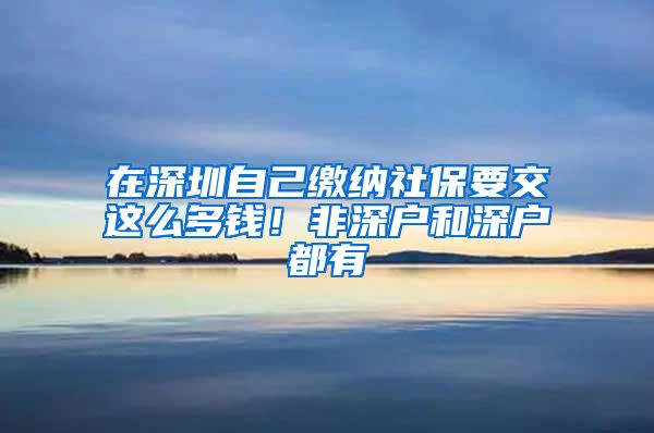 在深圳自己繳納社保要交這么多錢！非深戶和深戶都有