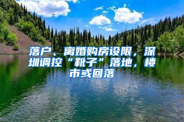 落戶、離婚購房設限，深圳調(diào)控“靴子”落地，樓市或回落