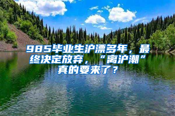 985畢業(yè)生滬漂多年，最終決定放棄，“離滬潮”真的要來(lái)了？