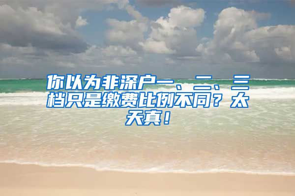 你以為非深戶一、二、三檔只是繳費(fèi)比例不同？太天真！