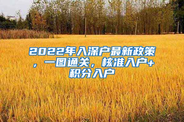 2022年入深戶最新政策，一圖通關(guān)，核準入戶+積分入戶