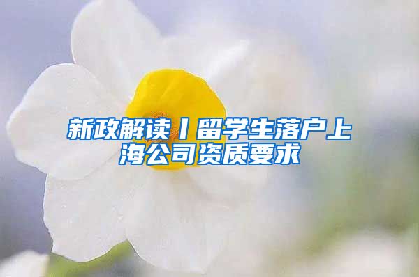 新政解讀丨留學(xué)生落戶上海公司資質(zhì)要求