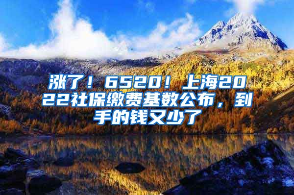 漲了！6520！上海2022社保繳費(fèi)基數(shù)公布，到手的錢又少了