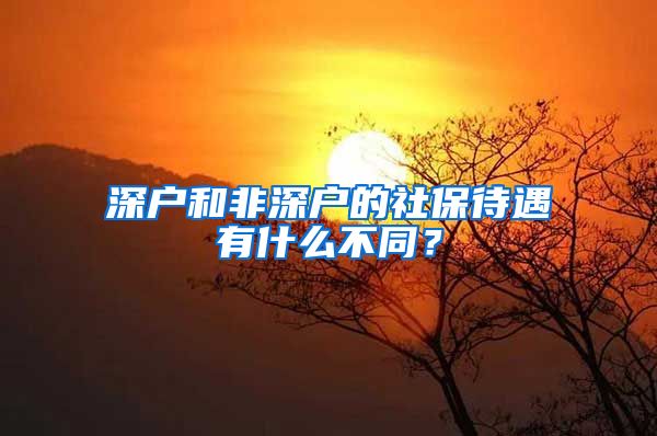 深戶和非深戶的社保待遇有什么不同？