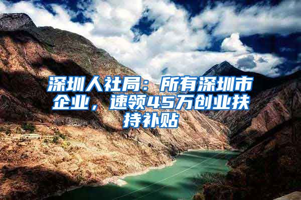 深圳人社局：所有深圳市企業(yè)，速領(lǐng)45萬創(chuàng)業(yè)扶持補(bǔ)貼