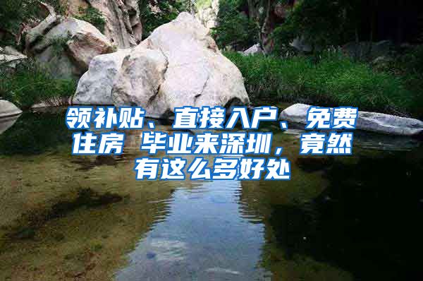 領(lǐng)補(bǔ)貼、直接入戶、免費(fèi)住房 畢業(yè)來深圳，竟然有這么多好處