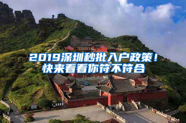 2019深圳秒批入戶政策！快來看看你符不符合