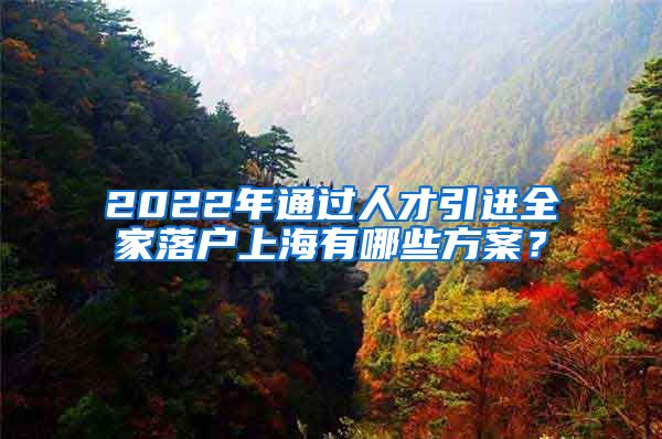 2022年通過(guò)人才引進(jìn)全家落戶(hù)上海有哪些方案？