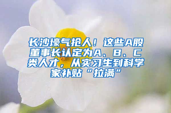 長(zhǎng)沙壕氣搶人！這些A股董事長(zhǎng)認(rèn)定為A、B、C類人才，從實(shí)習(xí)生到科學(xué)家補(bǔ)貼“拉滿”