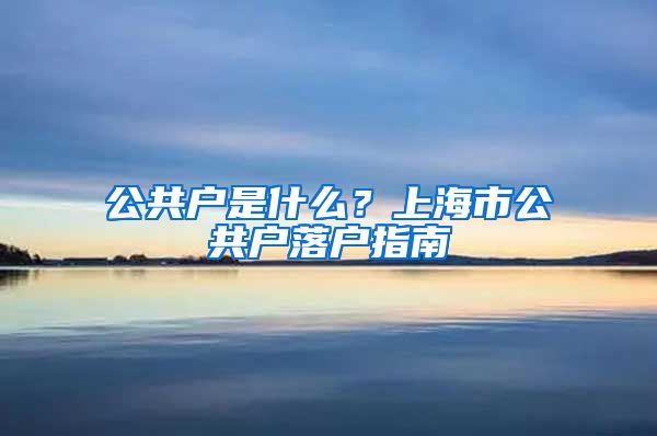 公共戶是什么？上海市公共戶落戶指南