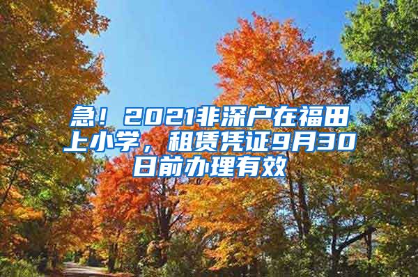 急！2021非深戶在福田上小學，租賃憑證9月30日前辦理有效