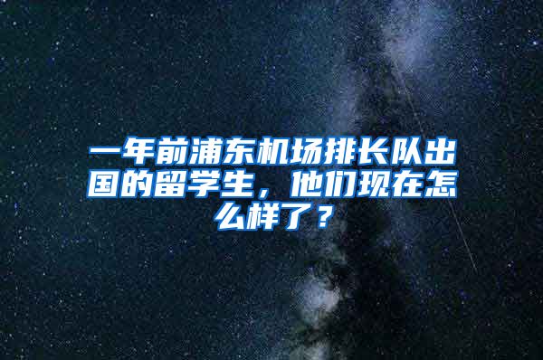 一年前浦東機場排長隊出國的留學(xué)生，他們現(xiàn)在怎么樣了？